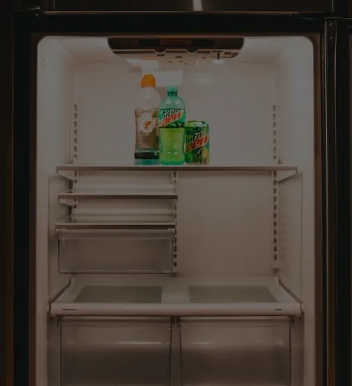 How much does a fridge repair cost?